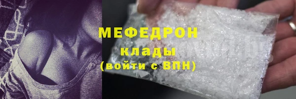 ГАЛЛЮЦИНОГЕННЫЕ ГРИБЫ Богданович