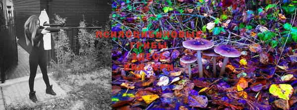 марки nbome Белоозёрский