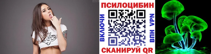 дарк нет телеграм OMG Галлюциногенные грибы GOLDEN TEACHER Высоцк даркнет сайт